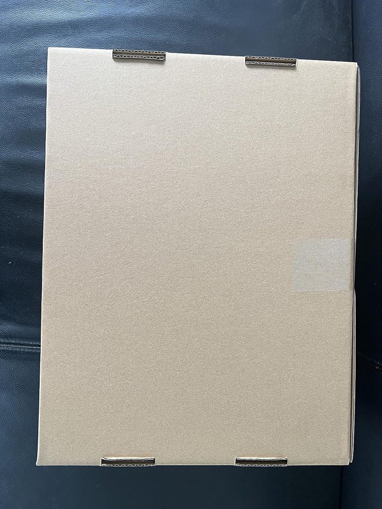 FNRIDS Clé à chocs sans fil, clé à chocs dynamométrique 600 Nm, vitesse variable 2300/2800 tr/min, avec batterie Li-ion 4.0Ah et chargeur, avec levier dextension et 6 douilles (clé à chocs)