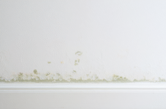 Comment enlever la moisissure sur un mur sans abîmer la peinture