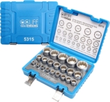 CCLIFE 21 pièce coffret douilles Profil à 12 et 6 pans 1/2&prime; 8-36mm, Clé à douille femelle multidents Cr-V